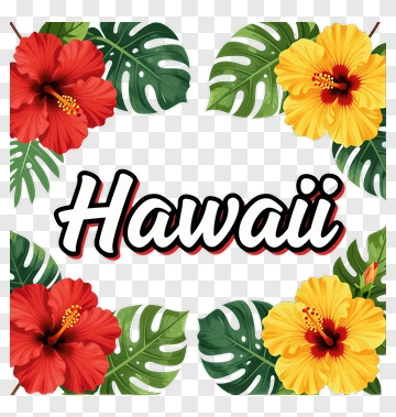 Hawaii With Colorful Hibiscus Flowers PNG