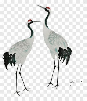 Cranes Standing Together PNG