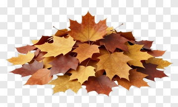 Autumn Leaves Pile PNG