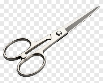 Stainless Steel Scissors PNG