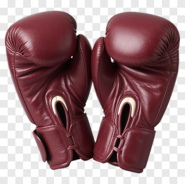 Boxing Gloves PNG