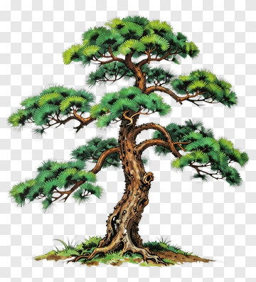 Pine Tree With Green Needles PNG