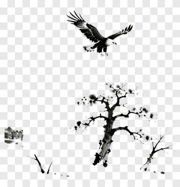Eagle Flying Above A Tree PNG