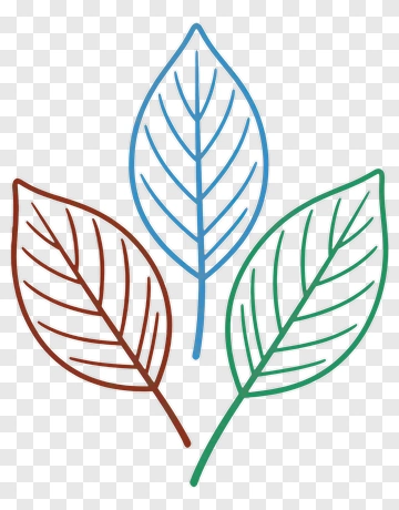 Colorful Leaves PNG