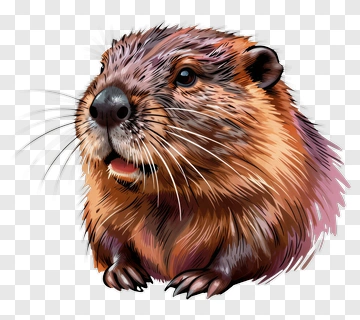 Realistic Groundhog Portrait PNG