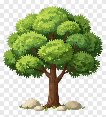 Colorful Tree With Rocks PNG