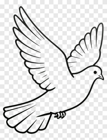 Flying Bird Outline PNG
