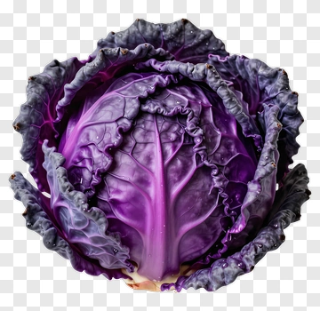 Purple Cabbage PNG