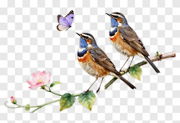 Bluebirds On A Branch With A Butterfly PNG