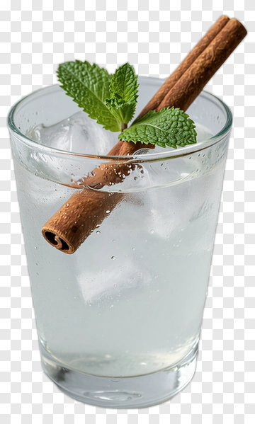 Glass Of Water With Mint And Cinnamon Stick PNG
