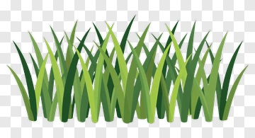 Green Grass PNG