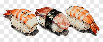 Sushi Platter With Shrimp And Salmon PNG