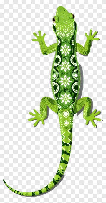 Colorful Gecko With Intricate Patterns PNG