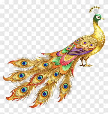Colorful Peacock With Elaborate Feathers PNG