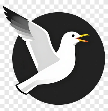 Cartoon Seagull Flying PNG