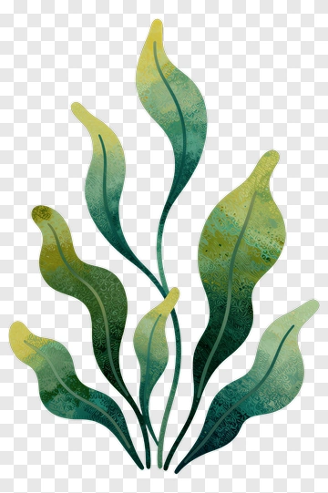 Colorful Leafy Plant PNG