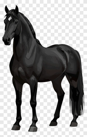 Black Horse PNG