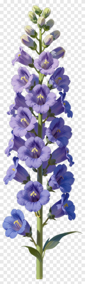 Purple Flower Stem PNG