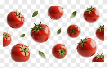Fresh Red Tomatoes With Green Leaves PNG