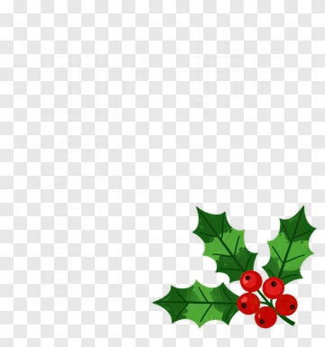Holly Leaves With Red Berries PNG