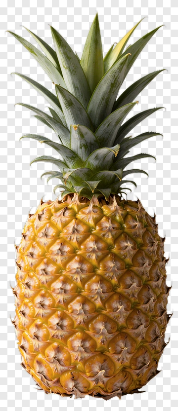 Pineapple PNG