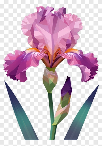 Polygonal Pink Iris Flower PNG