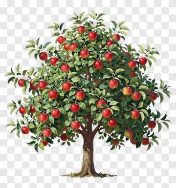 Apple Tree With Red Apples PNG