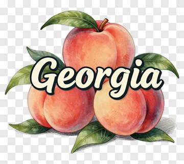 Peach Illustration With Georgia Text PNG