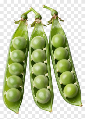 Fresh Green Peas In Pods PNG