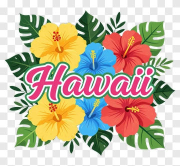 Colorful Hibiscus Flowers With Hawaii Text PNG