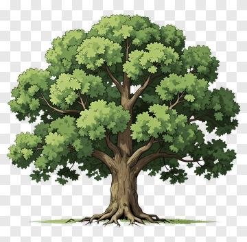 Colorful Tree PNG
