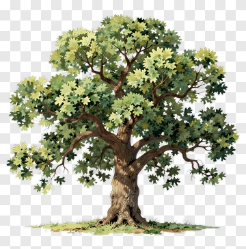 Colorful Tree PNG