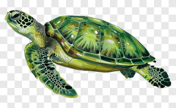 Colorful Sea Turtle Swimming PNG