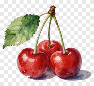 Watercolor Cherry Fruit With Leaf PNG