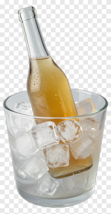 Bottle Of Beverage In Ice PNG