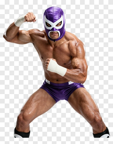 Wrestler In Purple Mask And Shorts PNG
