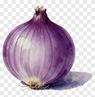Purple Onion PNG
