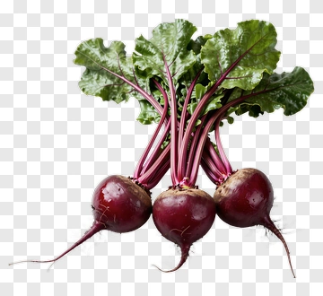 Fresh Beetroots With Green Leaves PNG