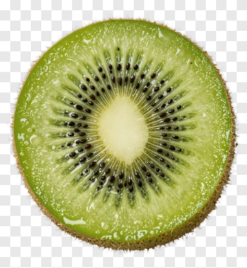Sliced Kiwi Fruit PNG