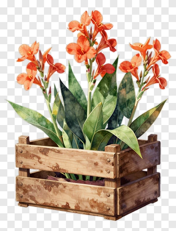 Colorful Flower Arrangement In Wooden Crate PNG