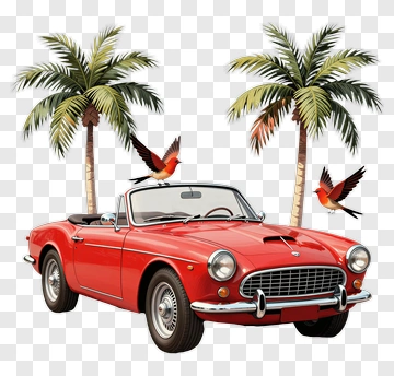 Red Convertible Car With Palm Trees And Birds PNG