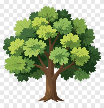 Colorful Tree PNG