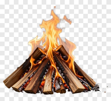 Campfire With Burning Logs PNG