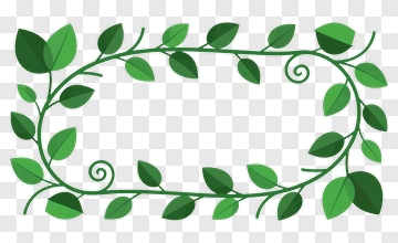 Green Leaf Frame PNG