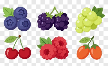 Colorful Fruit Collection With Berries And Cherries PNG