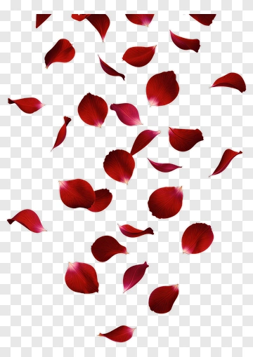 Red Rose Petals Falling PNG