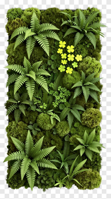 Lush Greenery With Ferns And Flowers PNG