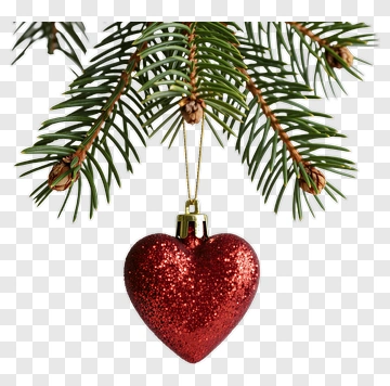 Red Heart Ornament Hanging From A Pine Branch PNG
