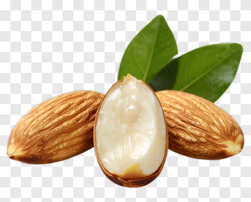 Almond With Leaves PNG