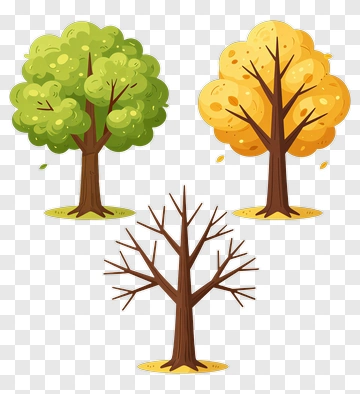 Colorful Trees In Different Seasons PNG